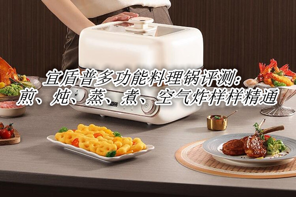 宜盾普多功能料理锅评测：煎、炖、蒸、煮、空气炸样样精通
