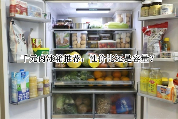 千元内冰箱推荐：性价比还是容量？