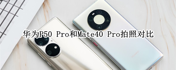 华为P50 Pro和Mate40 Pro拍照对比