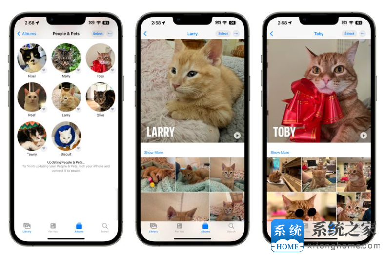 iOS 17 照片应用改进：更准确地识别人物和猫狗宠物