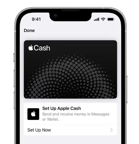 iOS 17.5设置Apple Cash虚拟卡号的4个步骤