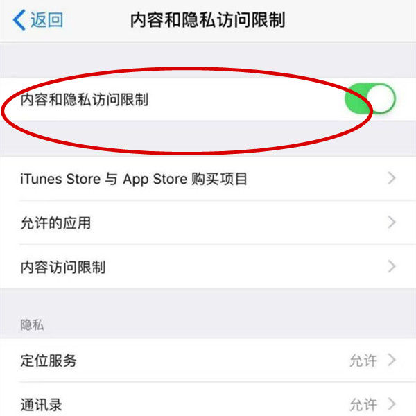 苹果 iPhone15 Pro如何设置应用加密？