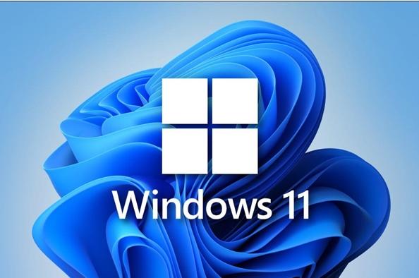 Win11 Insider Preview Build 22000.12